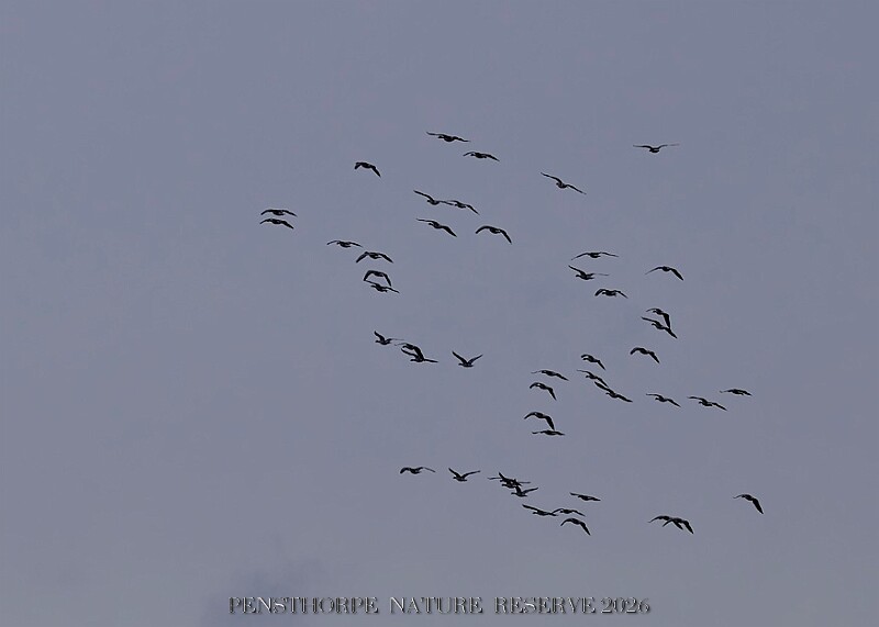 20260226 PENSFEB00321A.JPG