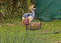 20260226 PENSFEB00094A