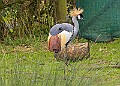 20260226 PENSFEB00097A