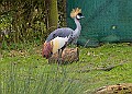 20260226 PENSFEB00098A