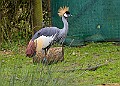 20260226 PENSFEB00099A