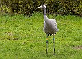 20260226 PENSFEB00150A