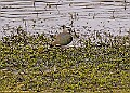 20260226 PENSFEB00165A