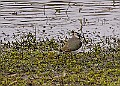 20260226 PENSFEB00166A