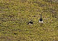 20260226 PENSFEB00173A