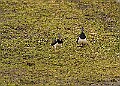 20260226 PENSFEB00174A