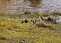 20260226 PENSFEB00176A