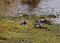 20260226 PENSFEB00178A