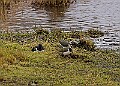 20260226 PENSFEB00179A