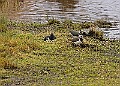 20260226 PENSFEB00180A