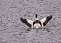 20260226 PENSFEB00181A