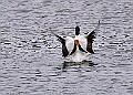 20260226 PENSFEB00183A