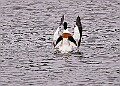 20260226 PENSFEB00184A