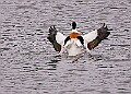 20260226 PENSFEB00185A