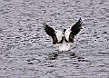 20260226 PENSFEB00187A