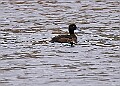 20260226 PENSFEB00193A