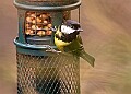20260226 PENSFEB00245A