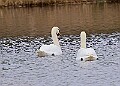 20260226 PENSFEB00275A