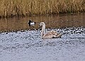 20260226 PENSFEB00283A