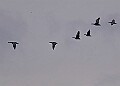 20260226 PENSFEB00314A