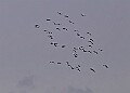 20260226 PENSFEB00319A