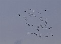 20260226 PENSFEB00321A