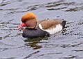 20260226 PENSFEB00328A