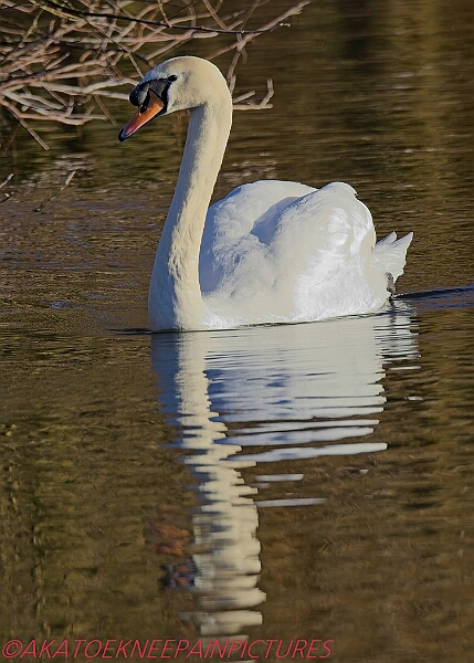 20250130PENSJAN00087A.JPG
