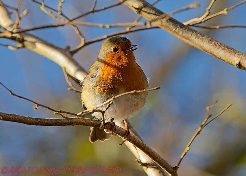 20250130PENSJAN00348A.JPG