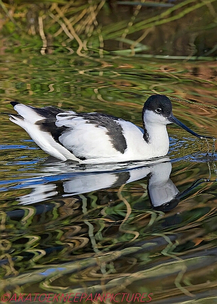 20250130PENSJAN00625A.JPG