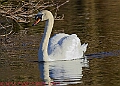 20250130PENSJAN00088A