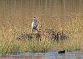20250130PENSJAN00187A