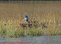 20250130PENSJAN00205A