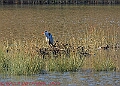20250130PENSJAN00208A