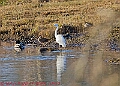 20250130PENSJAN00319A