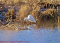 20250130PENSJAN00371A