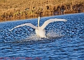20250130PENSJAN00475A
