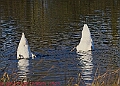 20250130PENSJAN00552A