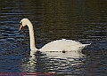20250130PENSJAN00554A