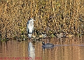 20250130PENSJAN00556A