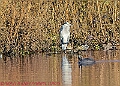 20250130PENSJAN00557A