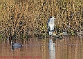 20250130PENSJAN00560A