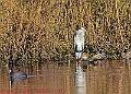 20250130PENSJAN00561A