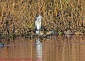 20250130PENSJAN00562A
