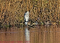 20250130PENSJAN00566A