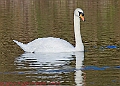 20250130PENSJAN00608A
