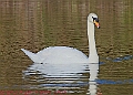 20250130PENSJAN00609A