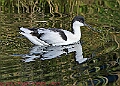 20250130PENSJAN00621A