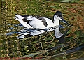 20250130PENSJAN00624A