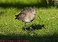 20250130PENSJAN00632A